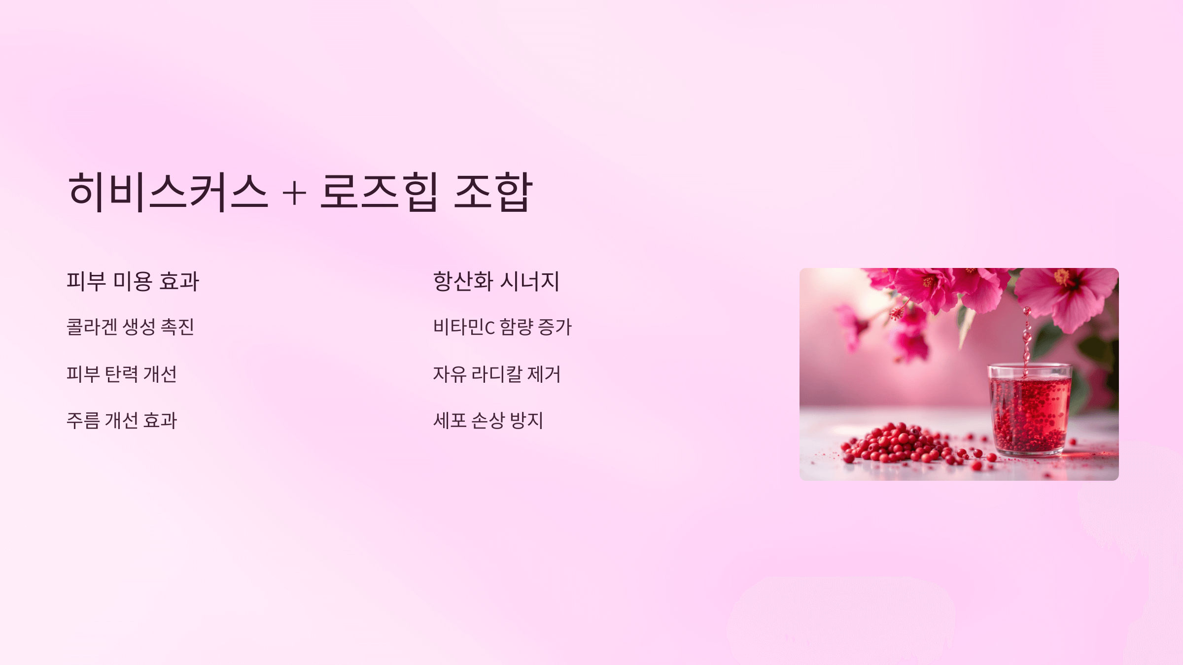 히비스커스 사진입니다.