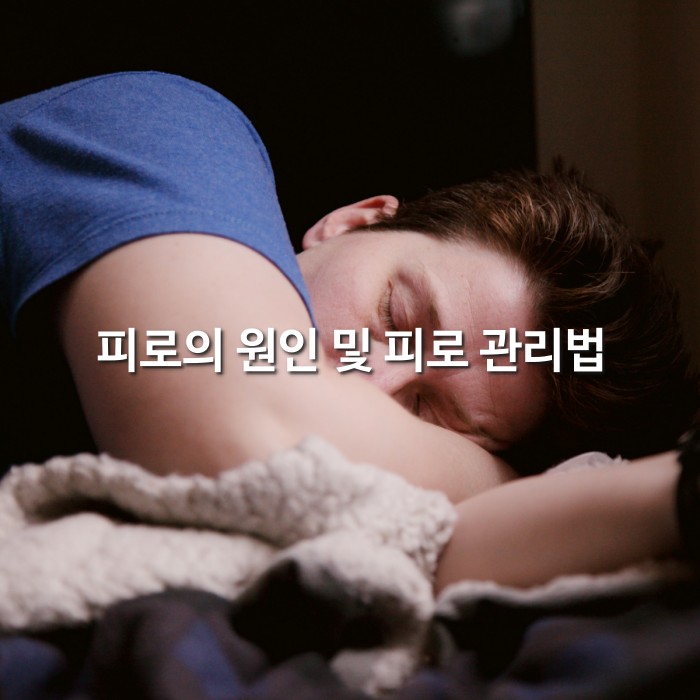피로의 원인 및 피로 관리법