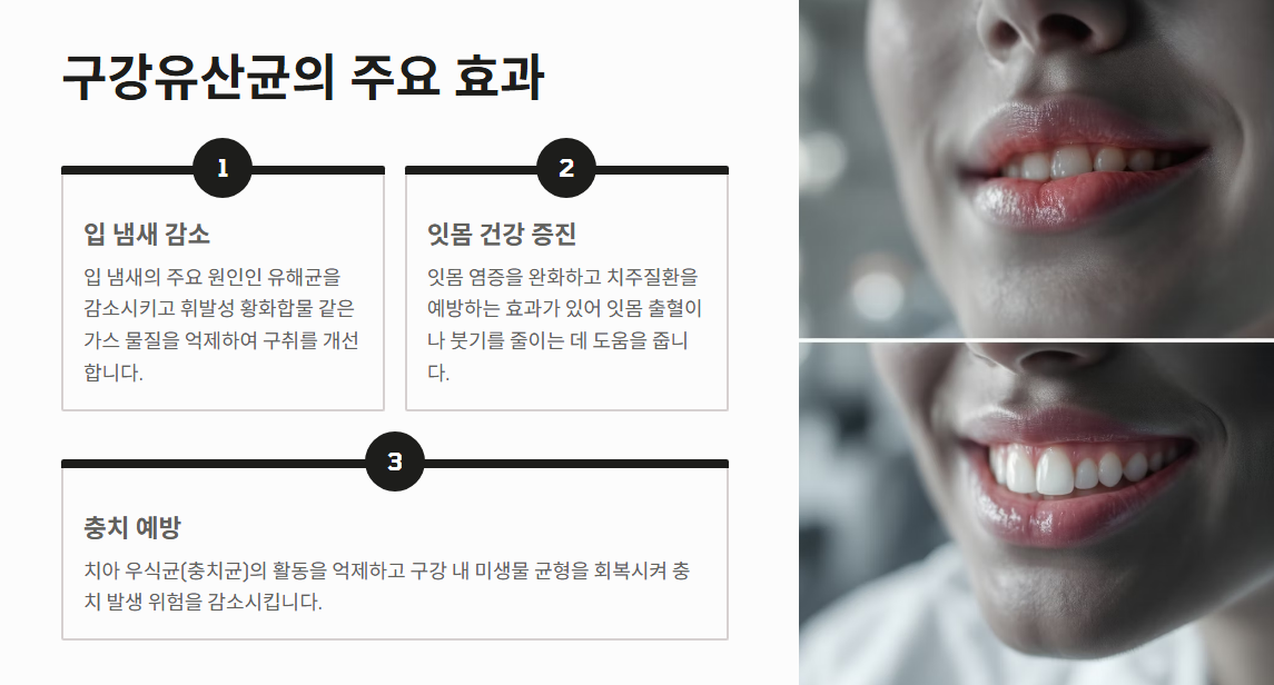 구강유산균 효과 부작용 복용법 총정리