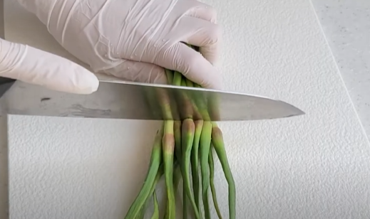 건새우 마늘쫑 볶음