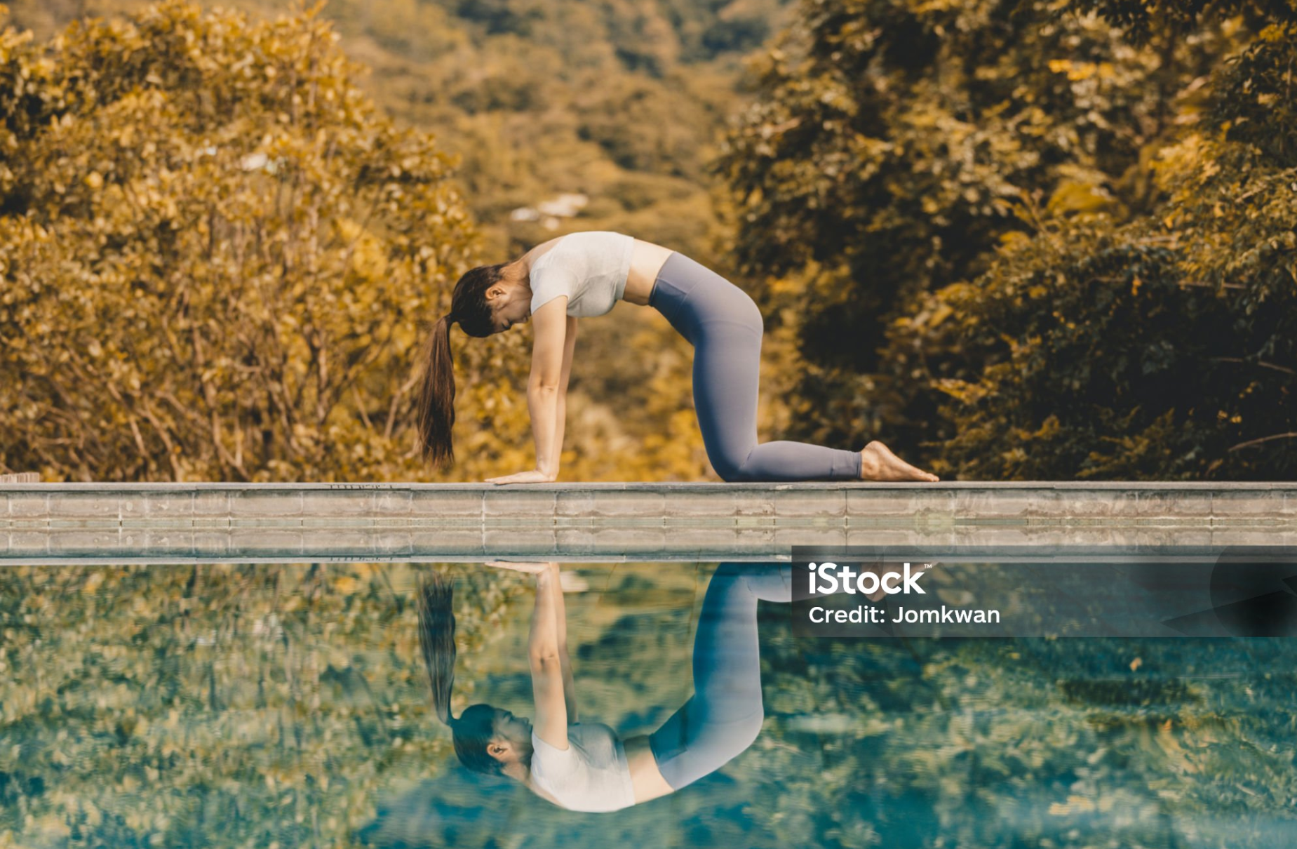 고양이-소 자세 (Cat-Cow Pose / 마르자리야사나)