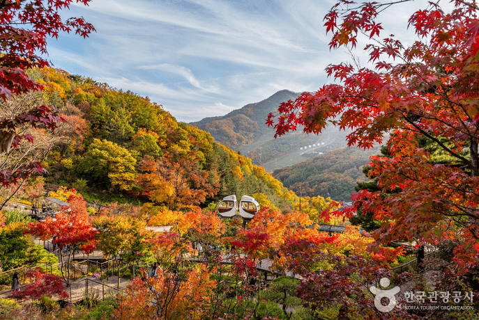 화담숲 단풍 절정