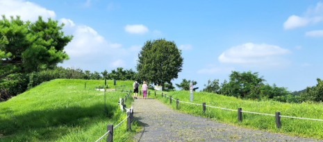 서울 둘레길 : 몸과마음을 치유하는 최고의 선택
