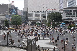 도쿄 여행 추천 시부야 스크럼블 교차로