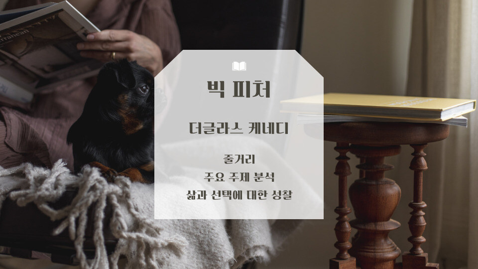 빅 피처 더글라스 케네디 소설 리뷰