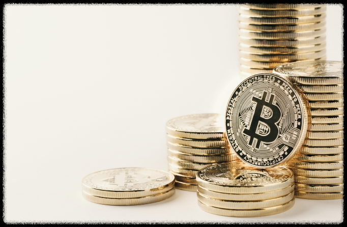 비트코인 갤러리