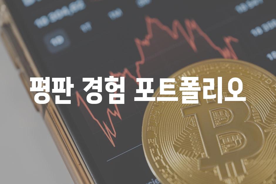 평판 경험 포트폴리오