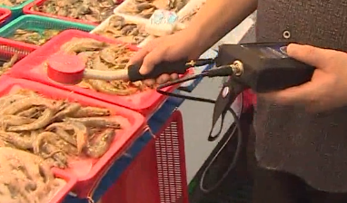 휴대용 방사능 측정기-방사능 개인용 측정기-수요 급증-후쿠시마원전-오염수방류-수산업자-지자체-구입