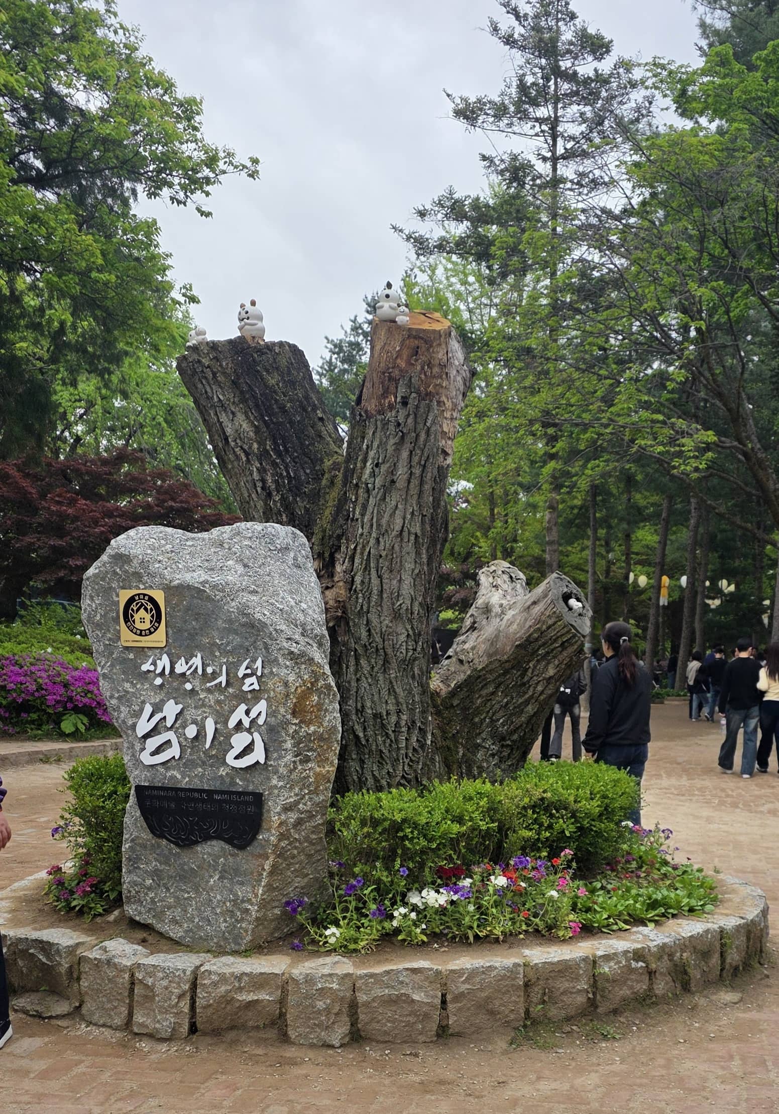 남이섬 사진