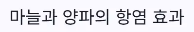 마늘 양파