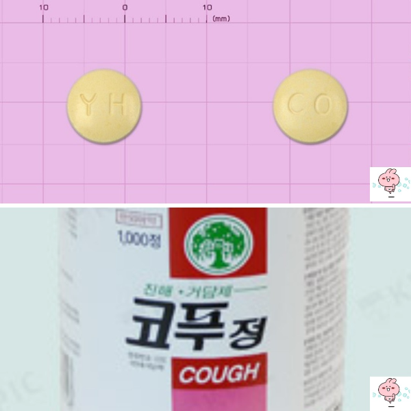 코푸정