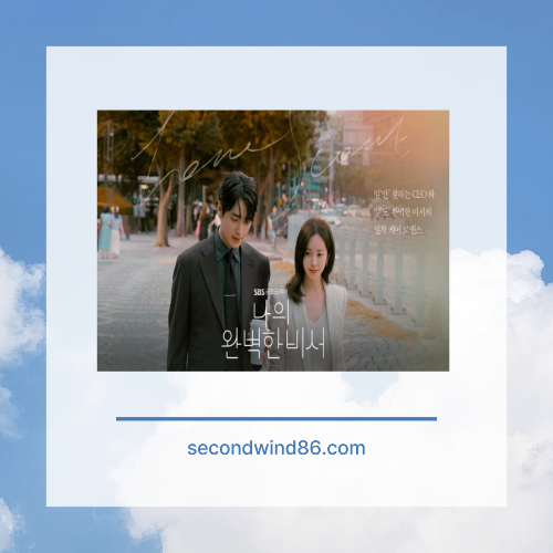 나의 완벽한 비서