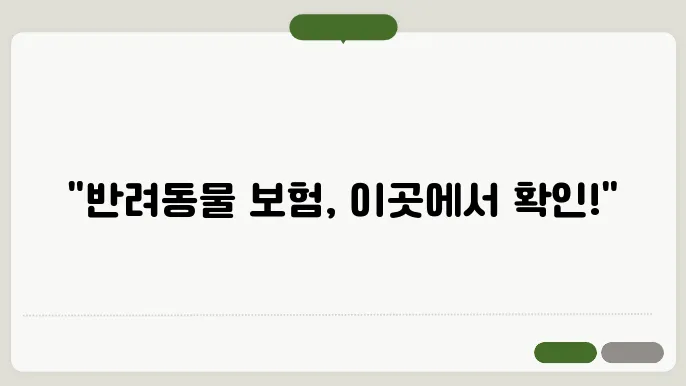 반려동물 보험 비용 측정하기