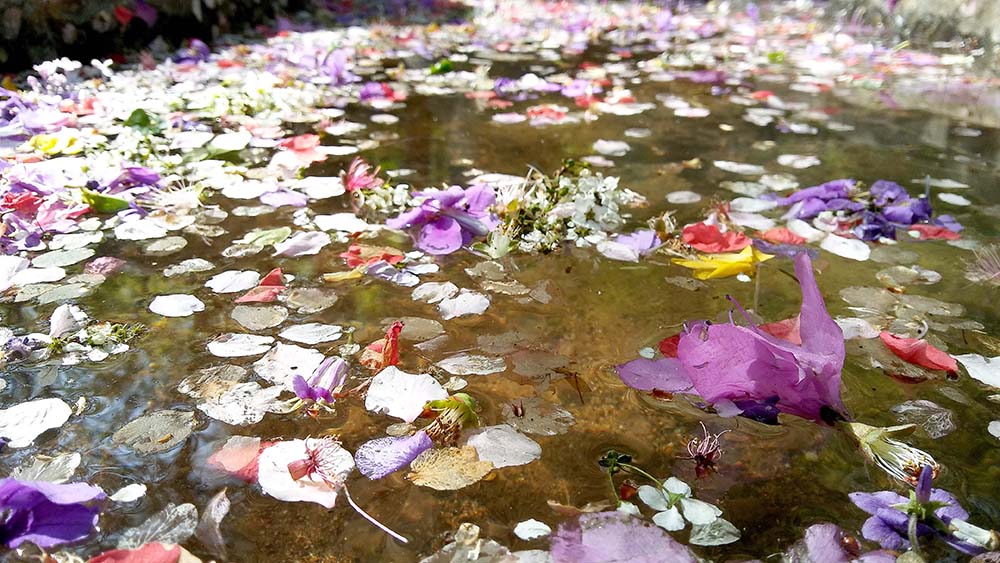 대모산&middot;우면산 '소풍'