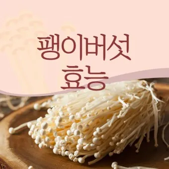 팽이버섯 효능_28
