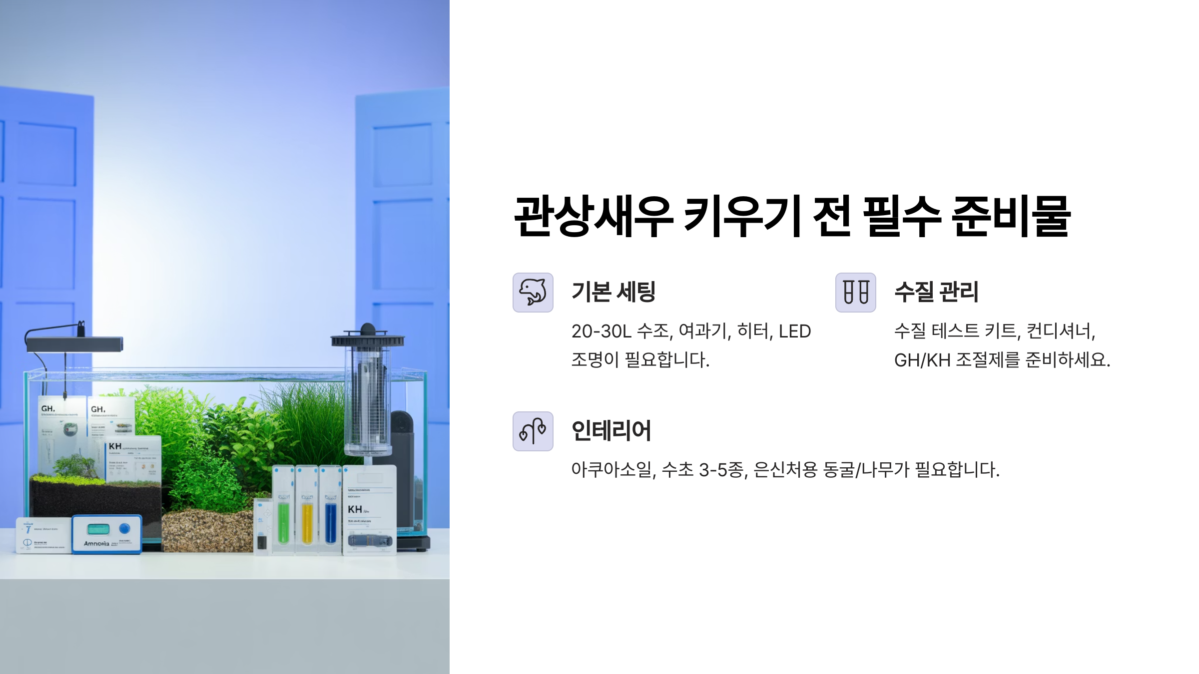 관상새우 키우기 전, 꼭 필요한 준비물 리스트부터 체크!