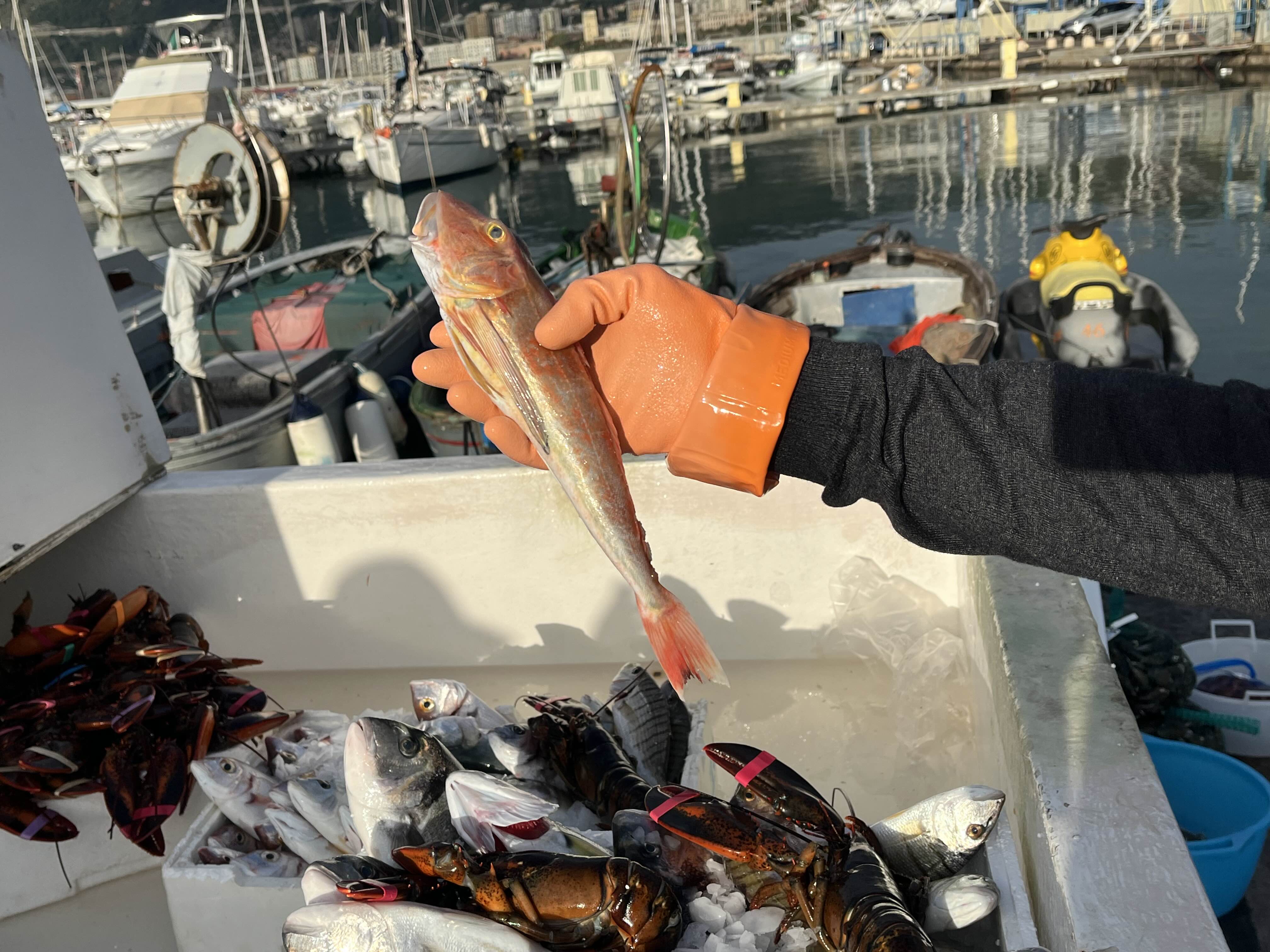 이탈리아 남부여행