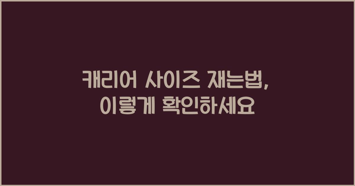 캐리어 사이즈 재는법