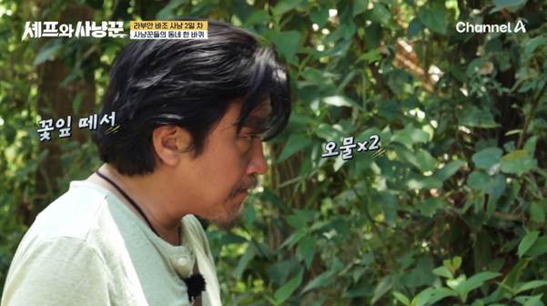 원래 요리사는 야생에서도 막 주워먹음? | 인스티즈