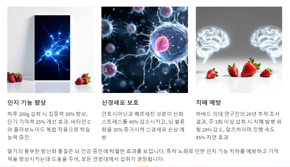 뇌건강과 기억력 향상에 도움을 주는 딸기