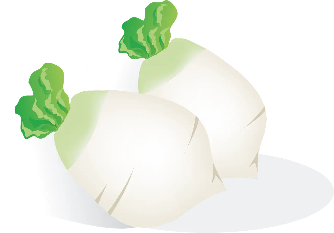 콩팥에 좋은 음식