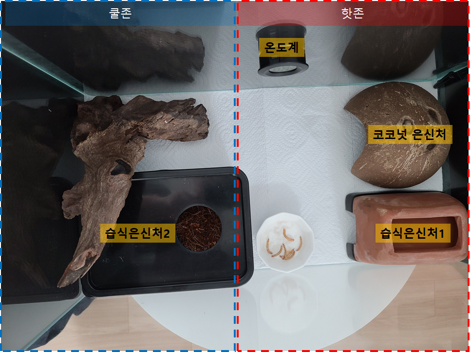 게코 도마뱀 사육장