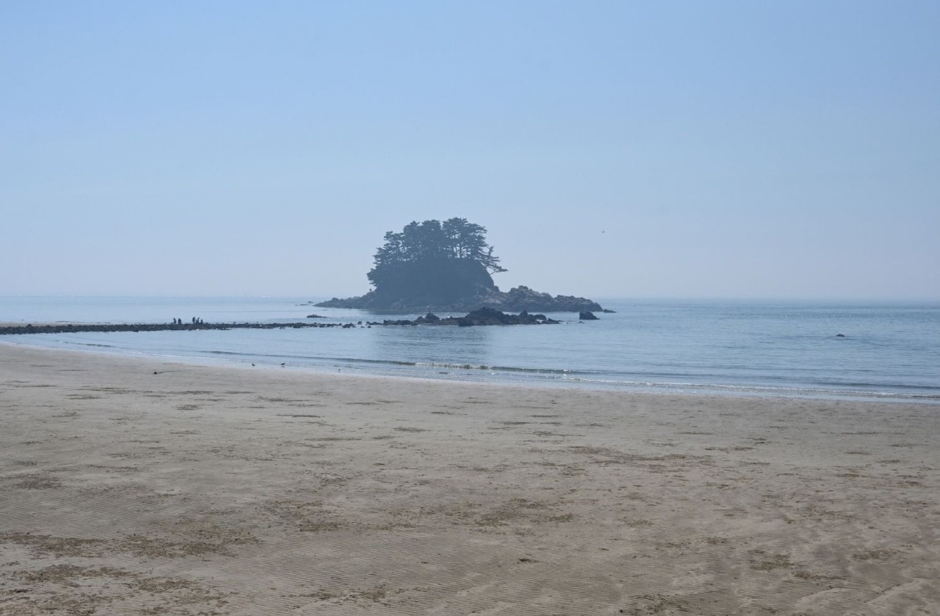 &ldquo;꾸지나무골해변에서 학암포까지&rdquo;