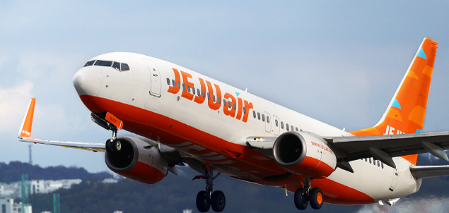 보잉 737-800 항공기 기종 정보, 운영 현황 및 사고 사례