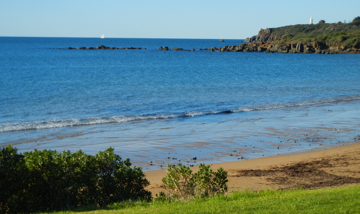 태즈매니아 사진