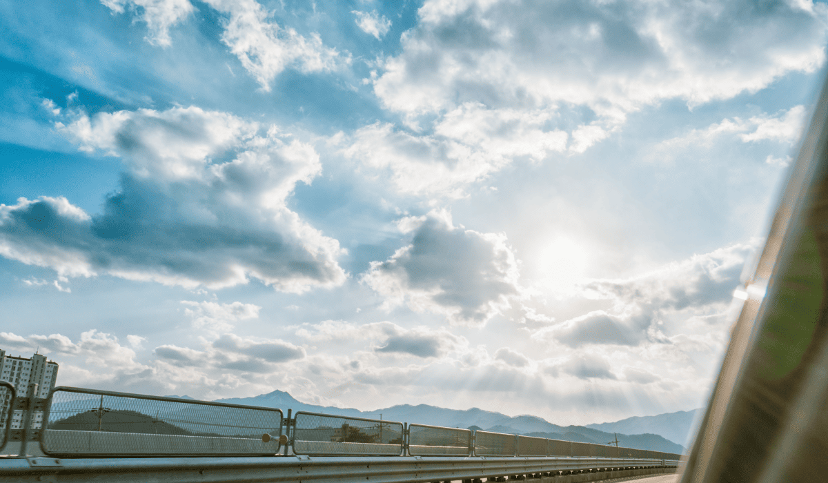 제주도_렌트카_비교사이트_29