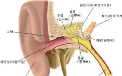 폐렴구균-예방접종-무료-대상-병원-찾기-순서-건강