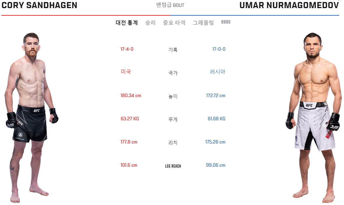 ufc-주요대진