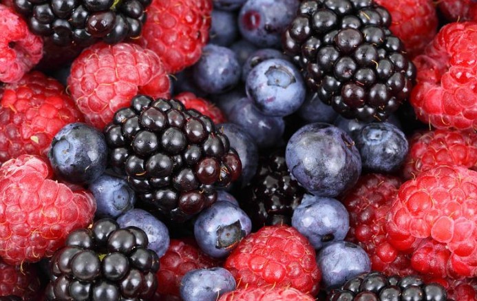 내 몸에 독소, 만성염증에 좋은 음식(만성염증 치료에 도움이 되는 음식) 5가지