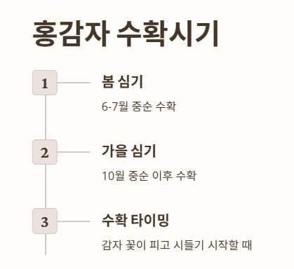 홍감자 수확시기