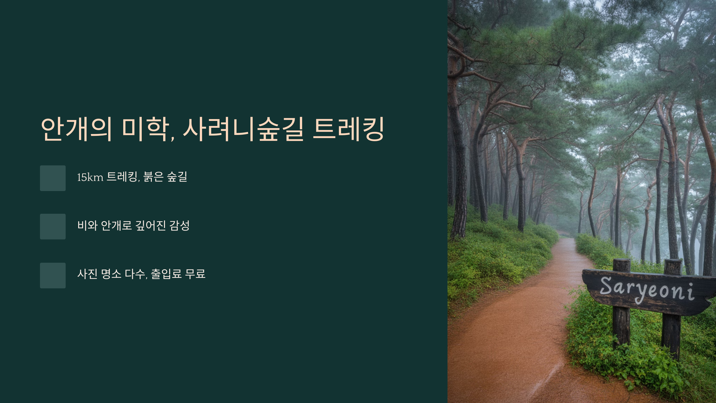 안개의 미학, 사려니숲길 트레킹