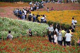 9월 국내여행지 베스트10 추천