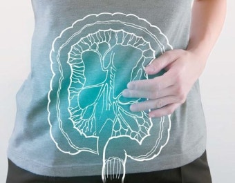 인체 속 40조의 박테리아