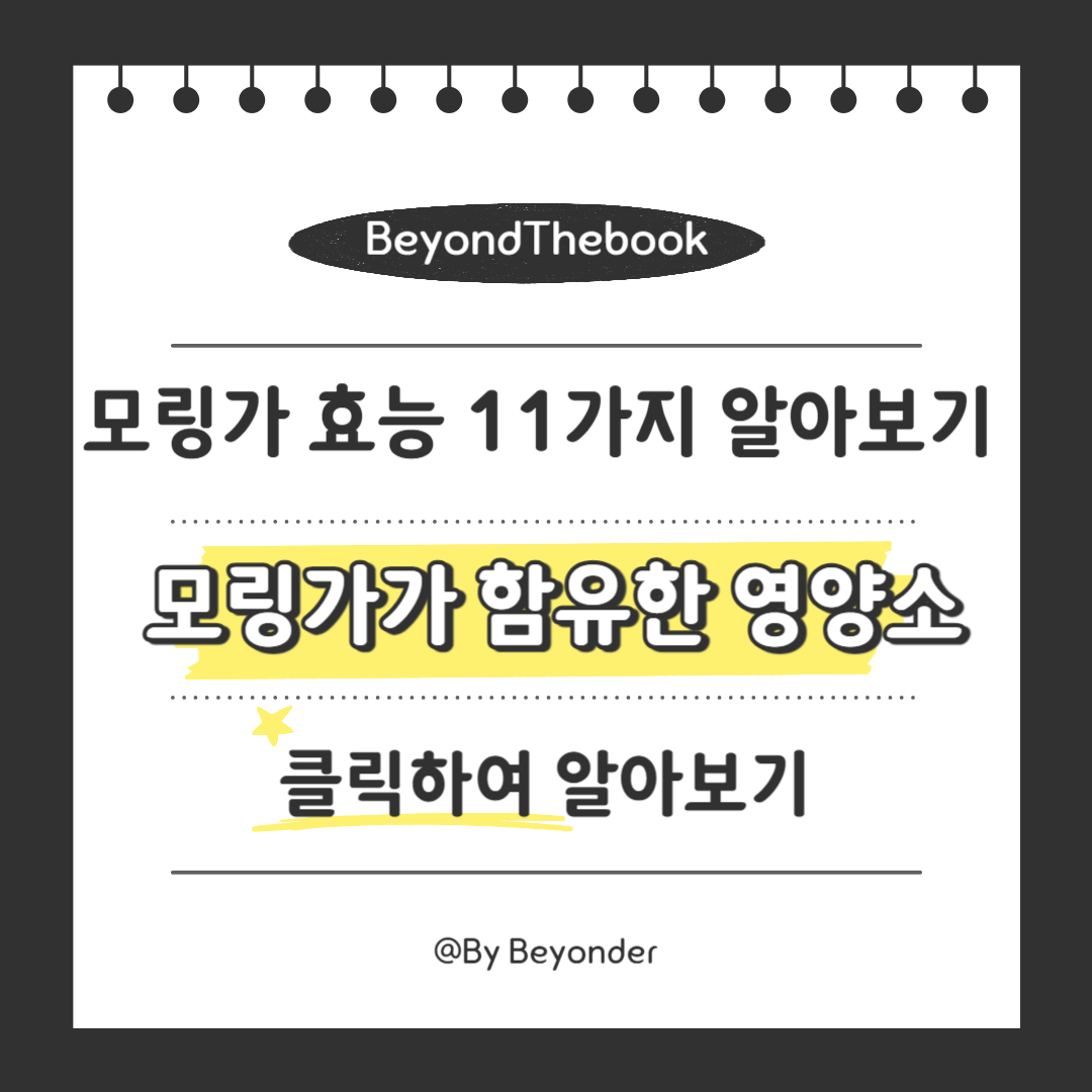 모링가가 함유한 영양소