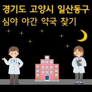 일산 심야 야간 24시 약국