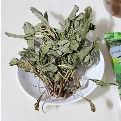 곰보배추 배암차즈기