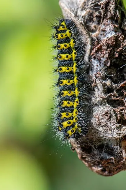 정난정 생애 정치 활동 정리 여인천하 권력과 몰락 이야기_1