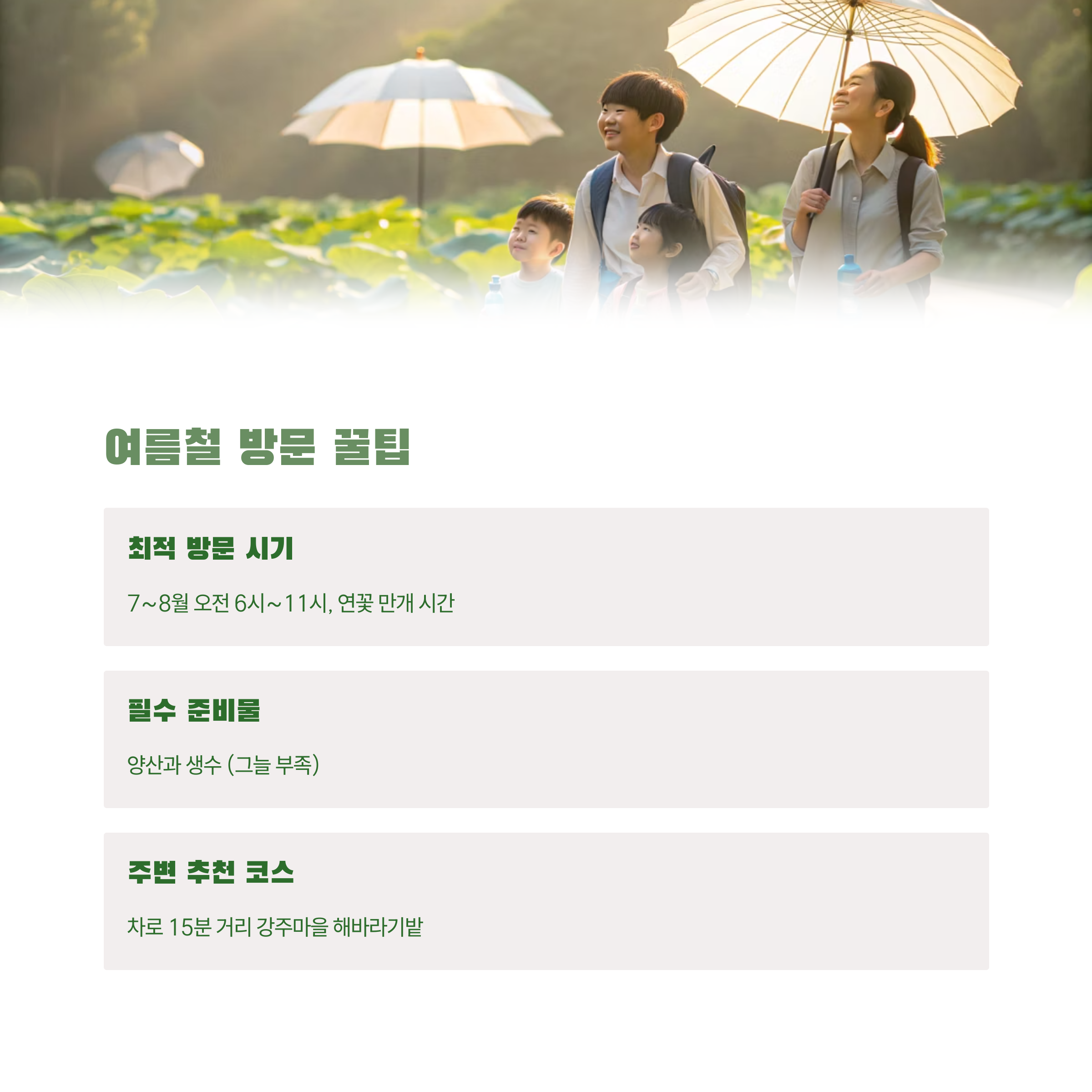 여름철 방문 꿀팁과 주변 추천 코스