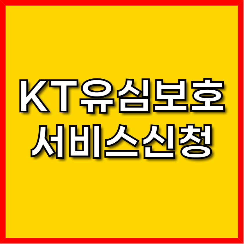 KT 유심보호 서비스