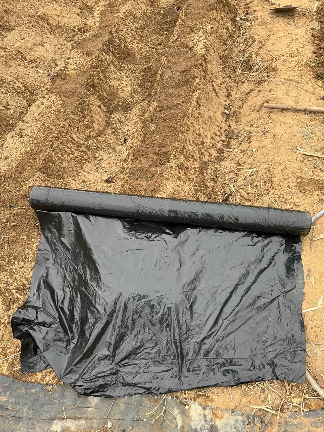 비닐 멀칭 방법