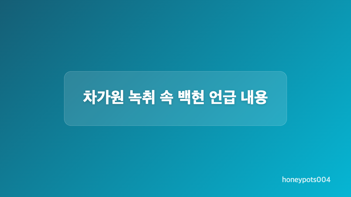 차가원 MC몽 400억 발언이 나온 배경