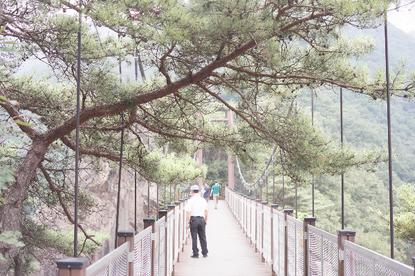 출렁다리 위에 3명의 사람이 있다.