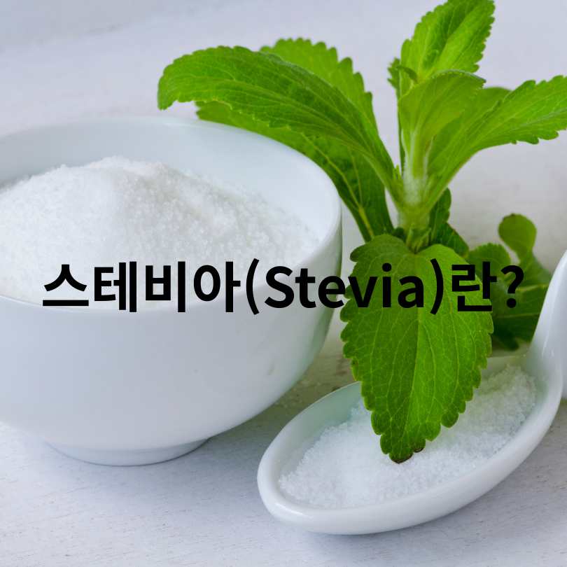 스테비아 vs 알룰로스 차이점