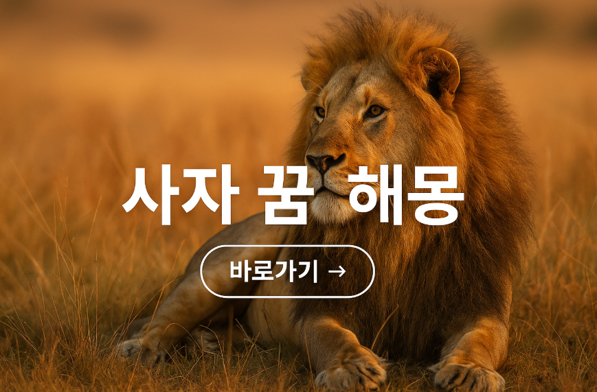 사자 꿈 해몽