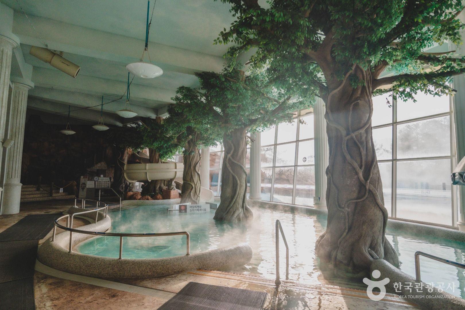 스플라스 리솜 주니어풀