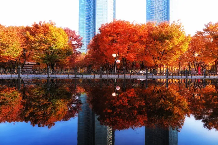 서울 단풍 명소 추천 5곳 : 고궁부터 숲길까지 도심 속 가을 산책길